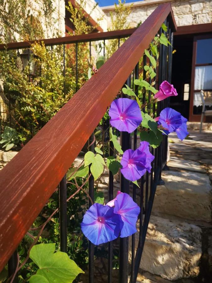 Aliki'S House 1+ 2 Konuk evi Polis Dış mekan fotoğraf
